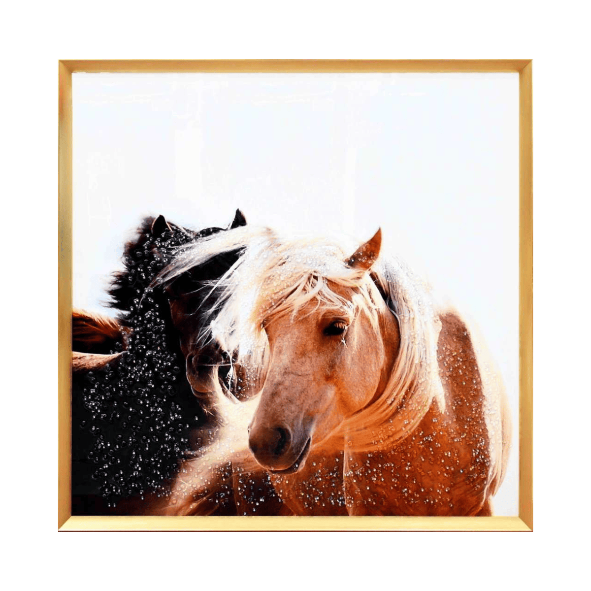 Tableau en verre CHEVAUX