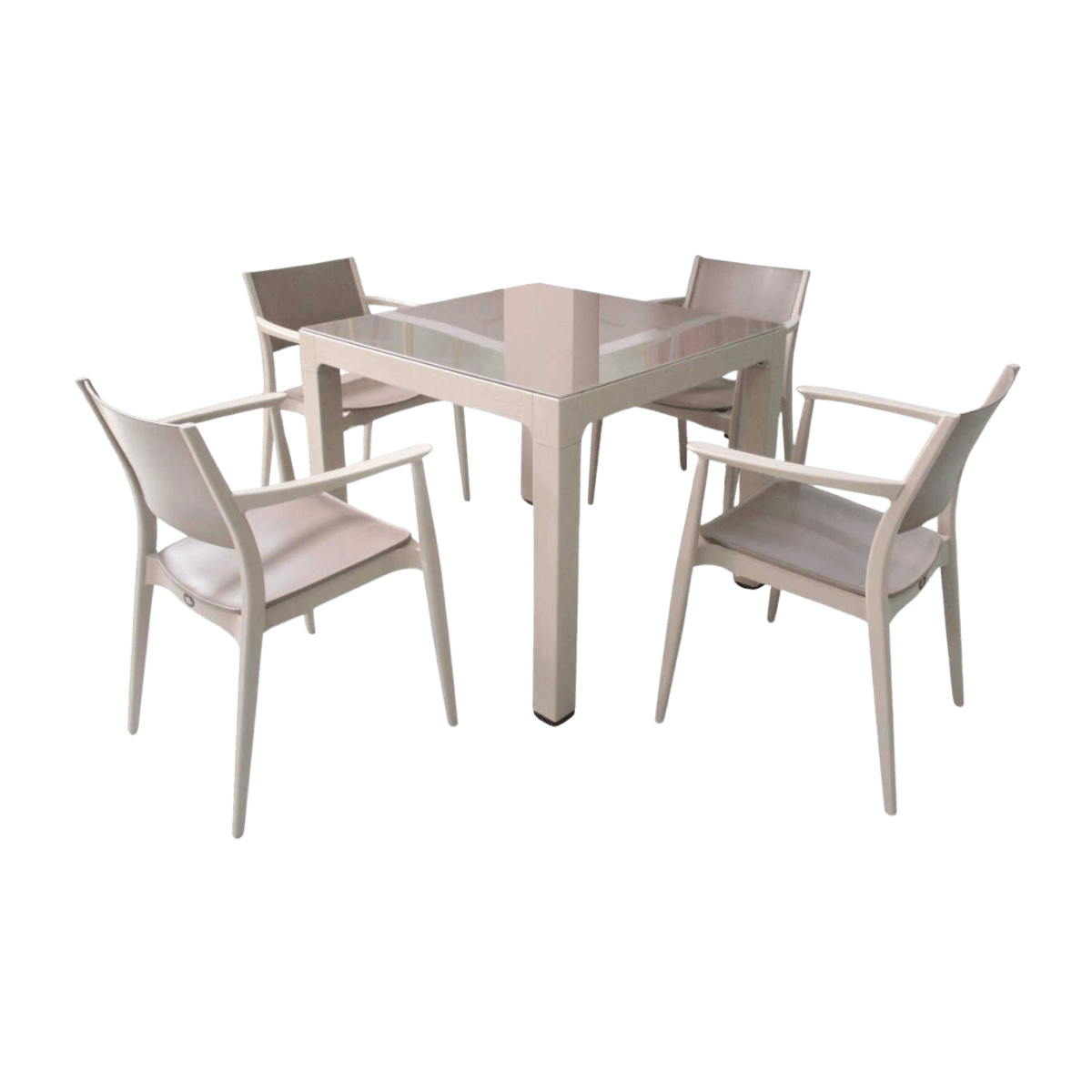 Table de jardin + 4 chaises