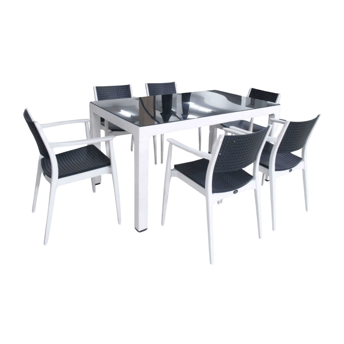 Table de jardin + 6 chaises