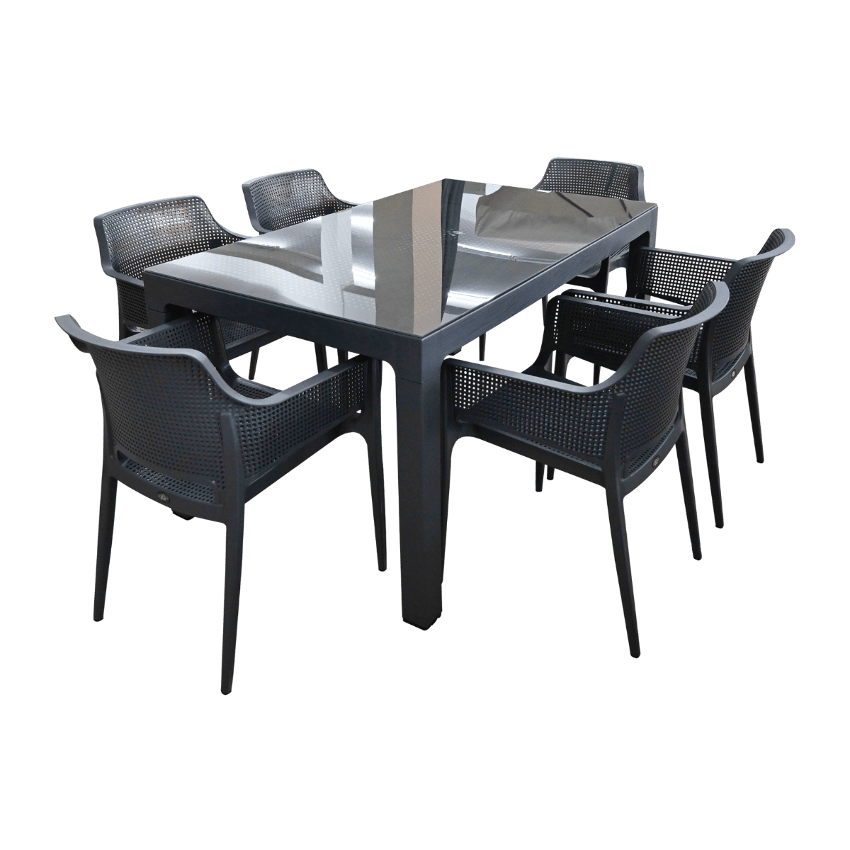 Table de jardin + 6 chaises