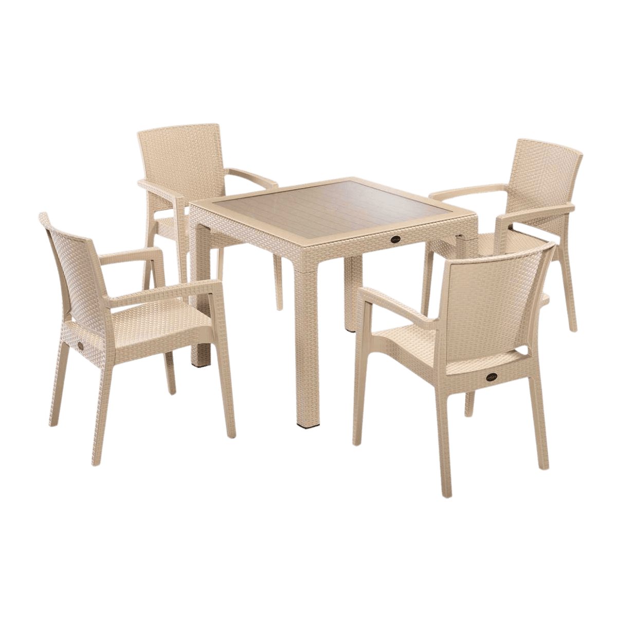 Table de jardin + 4 chaises
