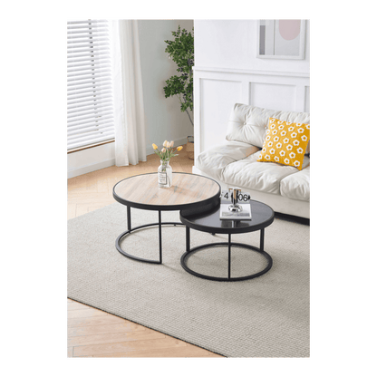 SET DE 2 TABLES BASSES
